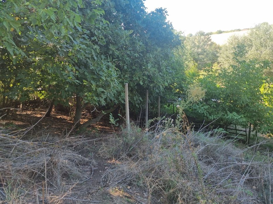 Продава се Къща в с. Марикостиново, Област Благоевград - 200 кв.м за 281 €/кв.м - Снимка #5