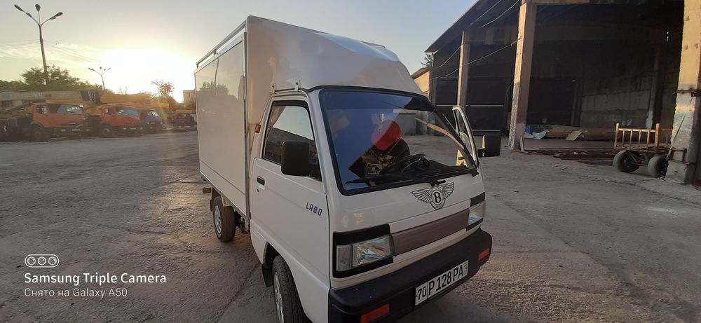 Корона для Лобо от производителей