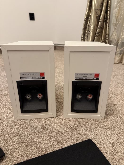 boxe raft profesionle dali opticon 1