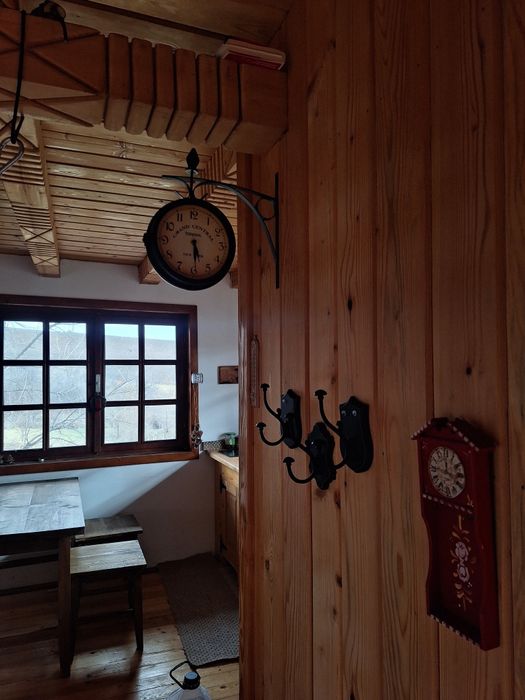 Vânzare teren in Chițoc Vaslui