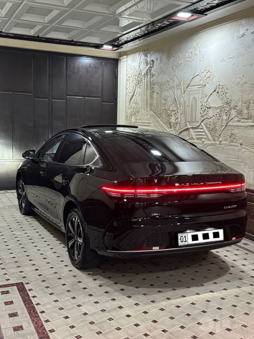 BYD Chazor 120 tali