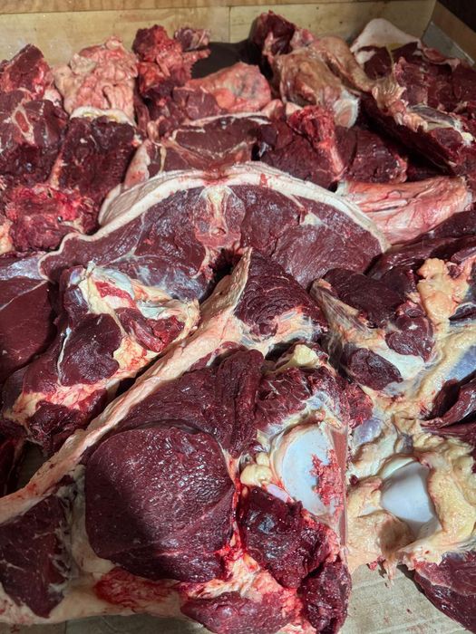 Продаём мясо конины