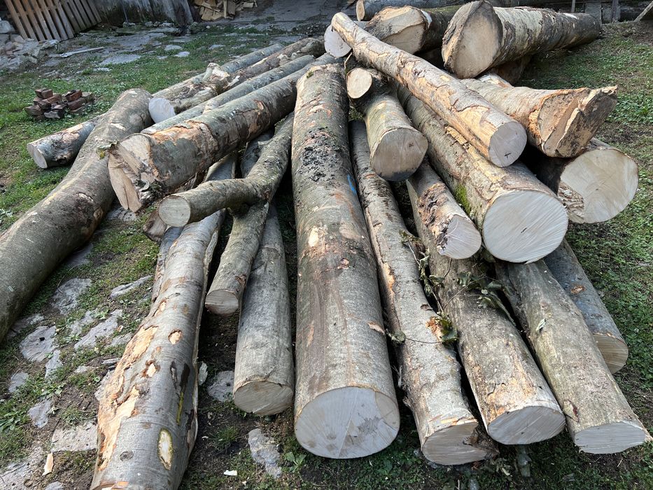 Lemn  LA 3m SAU BOCI