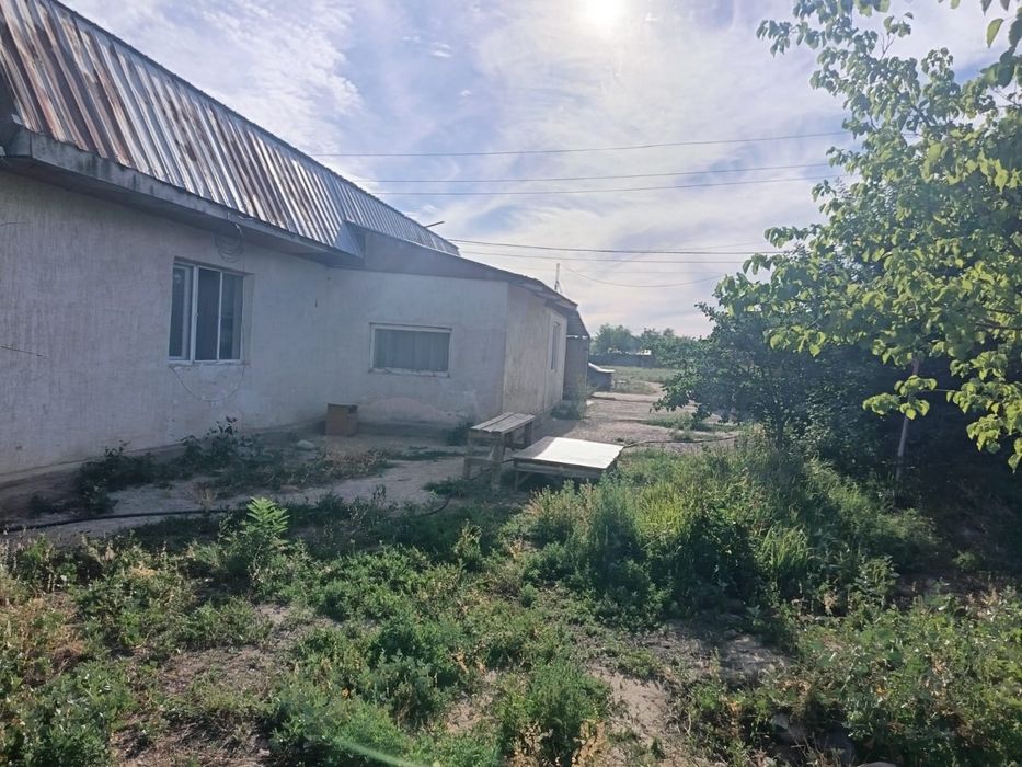 Продажа домов город жетиген