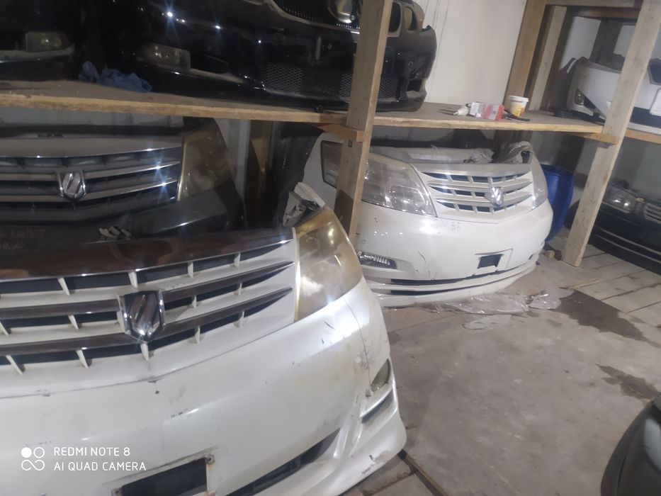 Ноускат Toyota Alphard