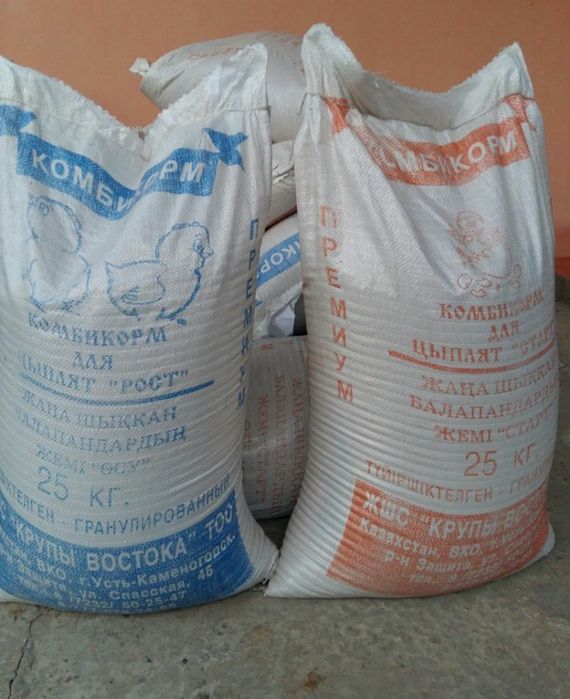 Жанадан шыккан балапандарга