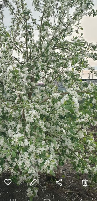 продам дом с.Байтерек