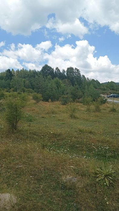 Продава се Парцел в к.к. Пампорово - 5500 кв.м за 29 €/кв.м - Снимка #1