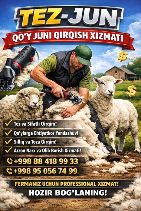 Qo‘ydi junini olamiz mashinkada