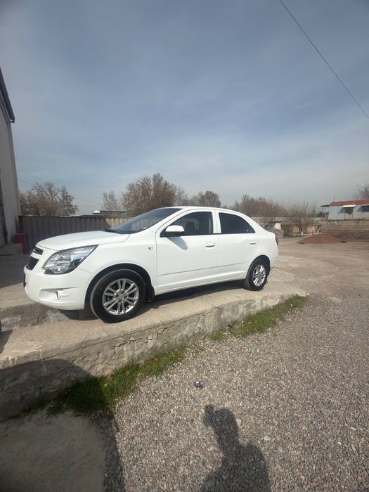 Кобальт/Cobalt 2024