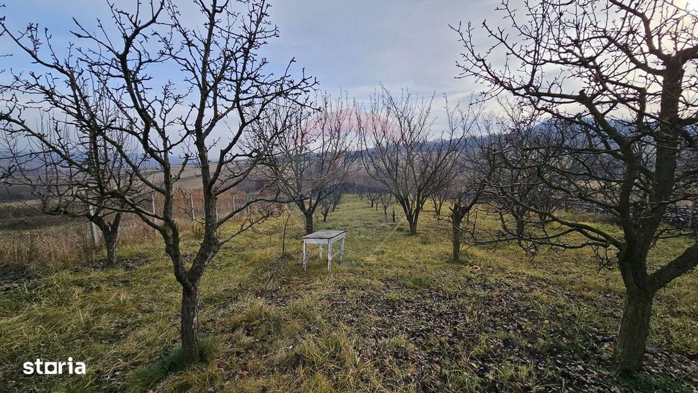 Teren extravilan 10,791mp Falticeni / Strada DJ209A, Opriseni