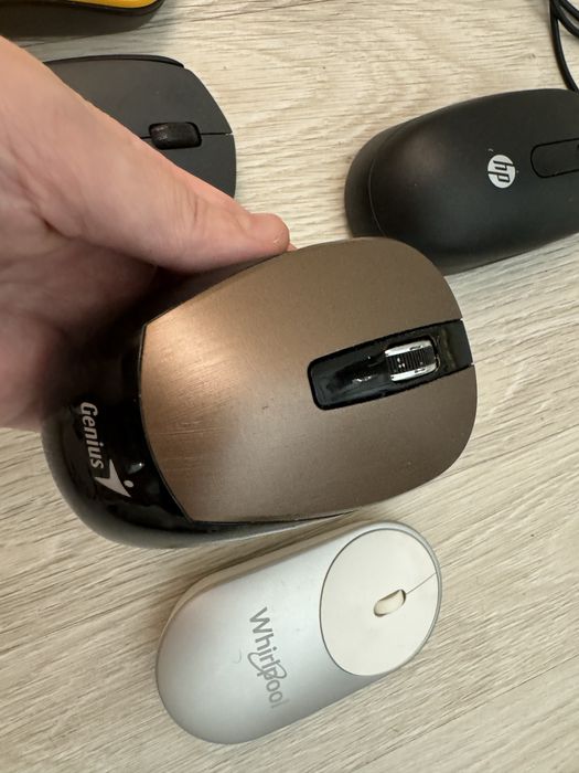 Мышки продам безпровобные