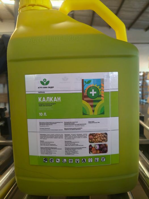 Калкан, Стомп на лук