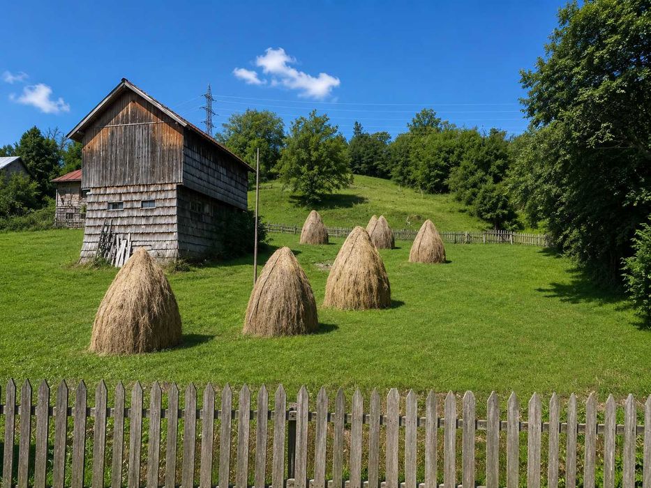 CASĂ + 1.500 mp teren intravilan – Valea Doftanei, vedere deosebita