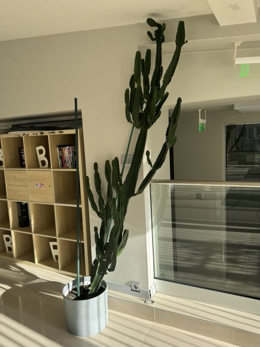 Офис обзавеждане