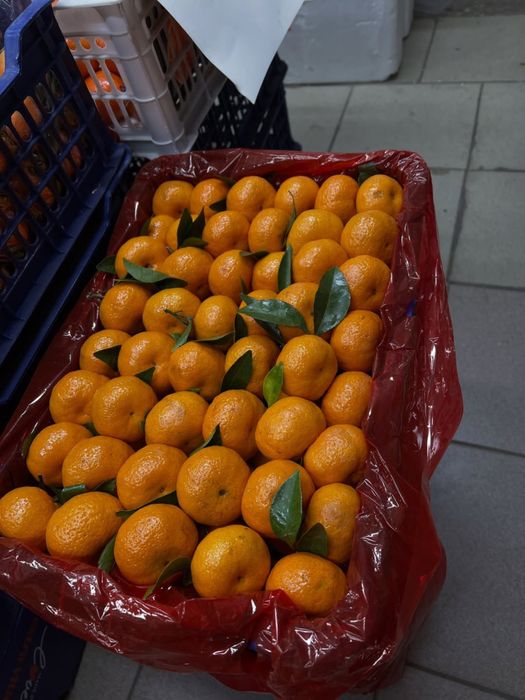 Mandarin suvli strus