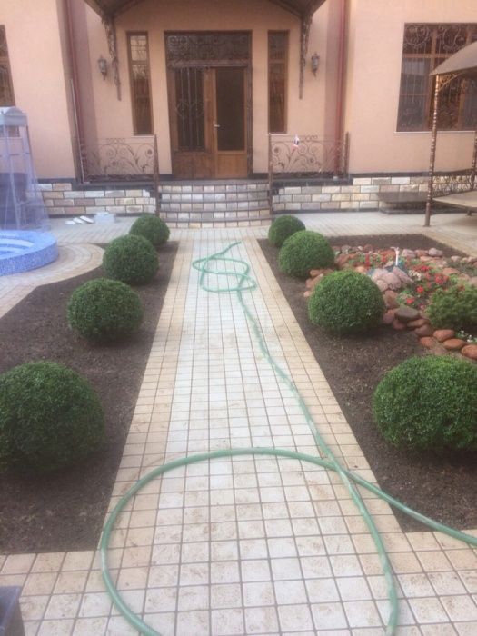 Ландшафтный дизайн,газоны,система полива,уход за садом.