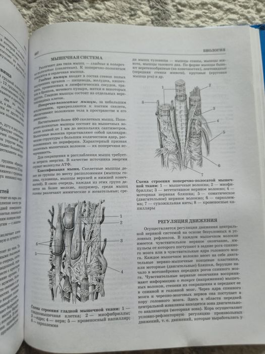 Книга для 5-11 классов