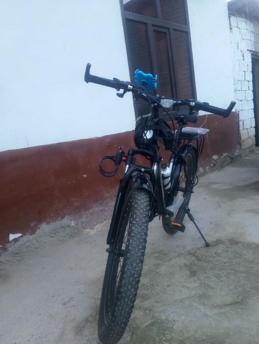 Velik tinchlik yangi