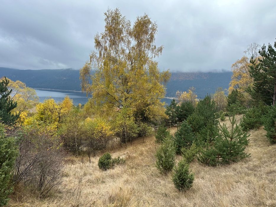 Продава се Парцел в Сърница - 1067 кв.м за 66 €/кв.м - Снимка #2