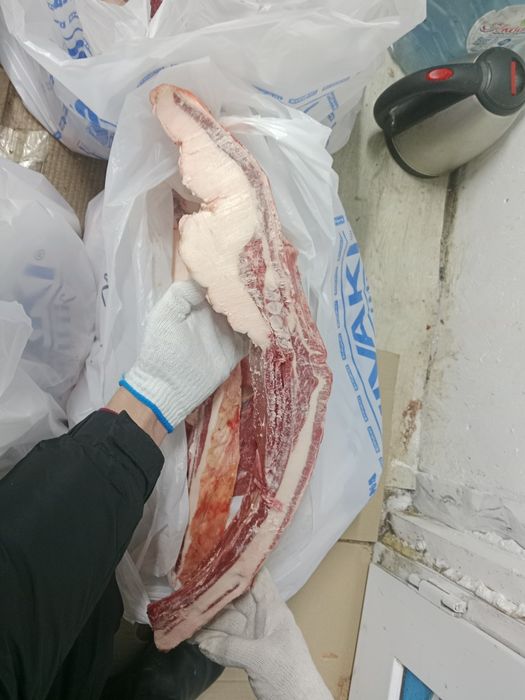 Семиз тайдын еті.