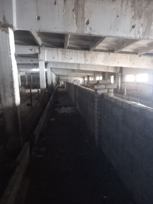 Фазенда база.     .