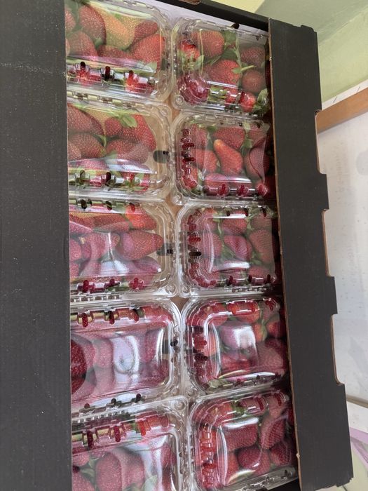 Клубника египетская