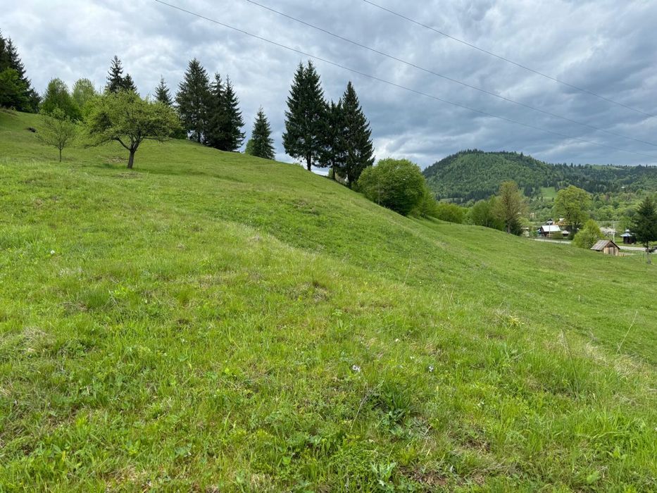 Teren de vanzare -Vama, 13.050 mp, Strâmtura