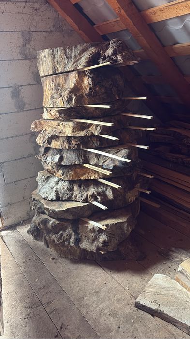 Blaturi de masa nuc stejar frasin salcam