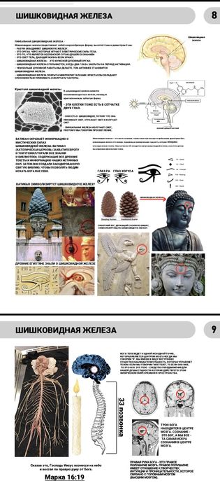 Книга мудрости в пдф