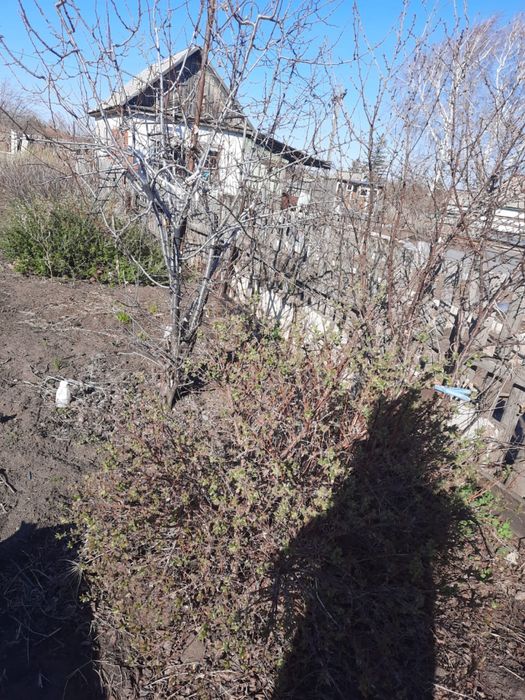 Продам или сдам дачу в Рудном