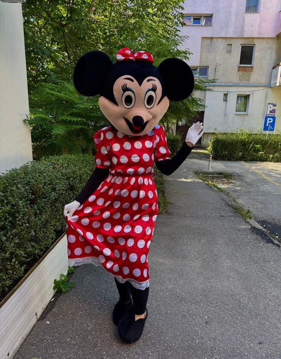 Animator mascota petreceri copii