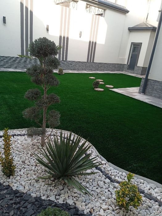 Lanshafd pro oz xizmatlarini taklif qiladi