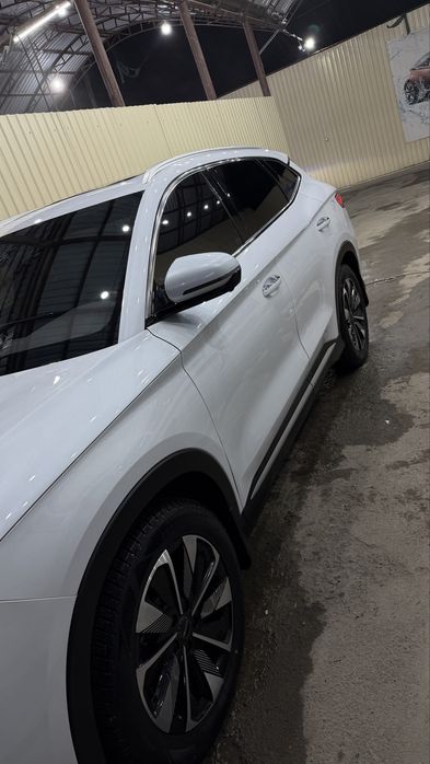 BYD chempion 2024 lidarligi