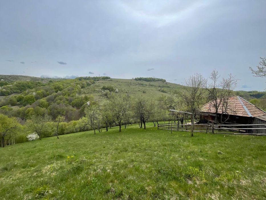 Casă, livada și pădure în com Bătrâna judetul Hunedoara ținutul pădurenilor.