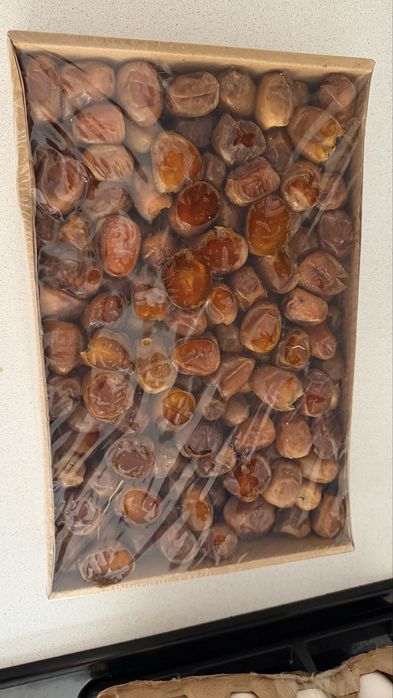 Суккари курма.