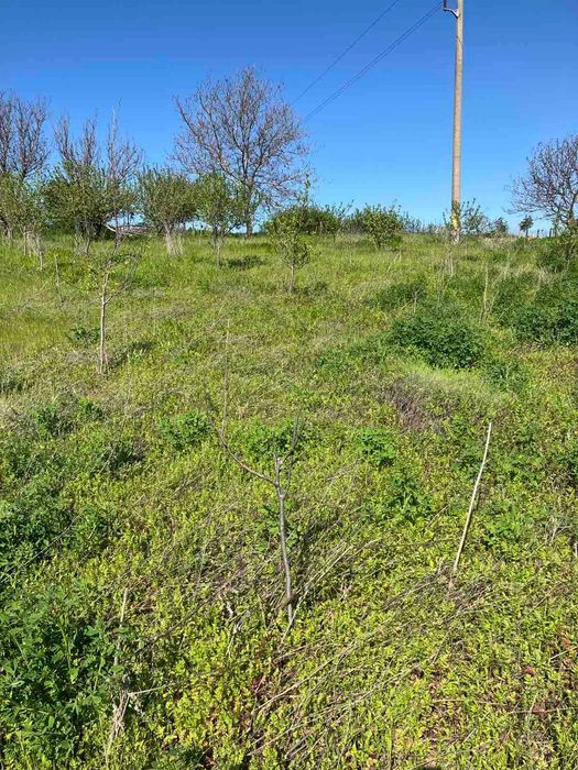 Продава се Парцел в Пловдив, Кършияка - 2213 кв.м за 19 €/кв.м - Снимка #7