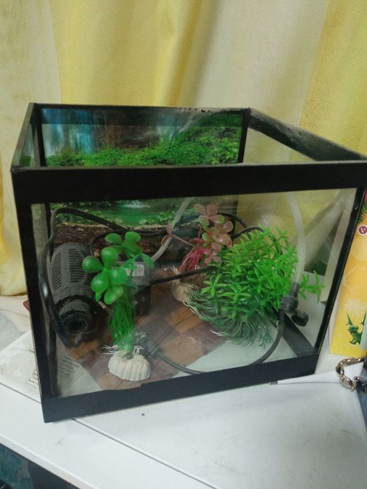 Продам аквариум бу в отличном состоянии