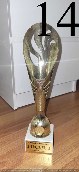 Cupe de colecție câștigate la competiții