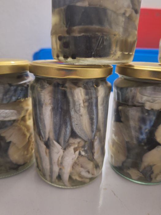 Паламуд чернокоп сафрид зарган и барбун