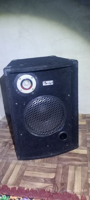 Soobofer de 300w 8Ω cu tweeter
