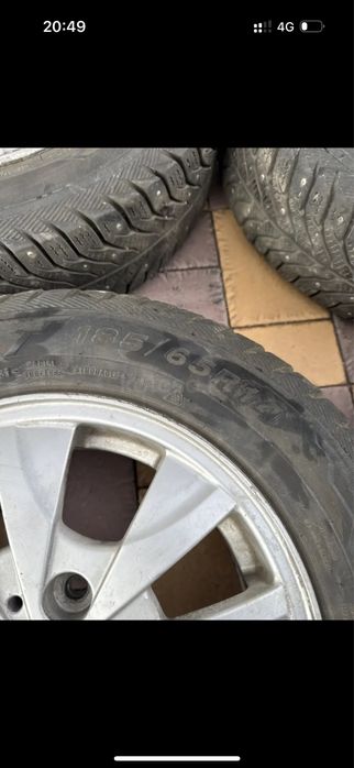 Соныры на зиме r14