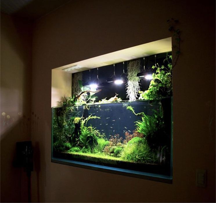 Дизайн аквариумов