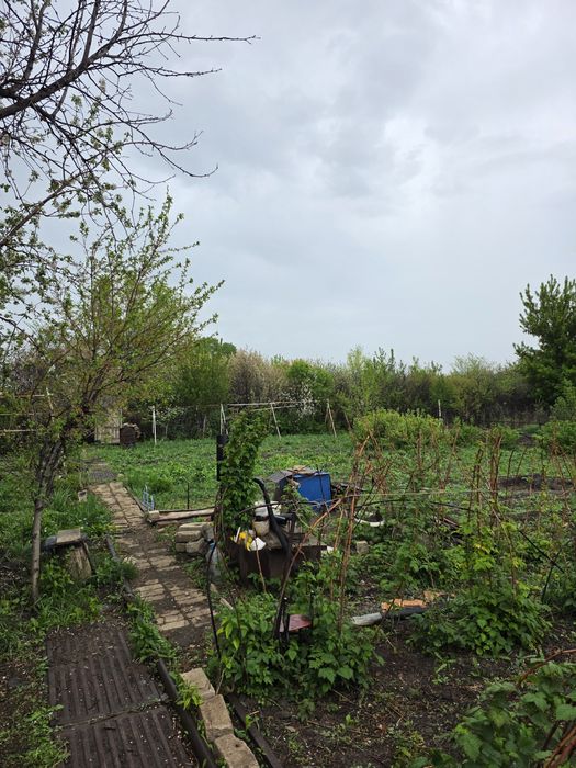 Продам дачу в кооперативе Мелиоратор