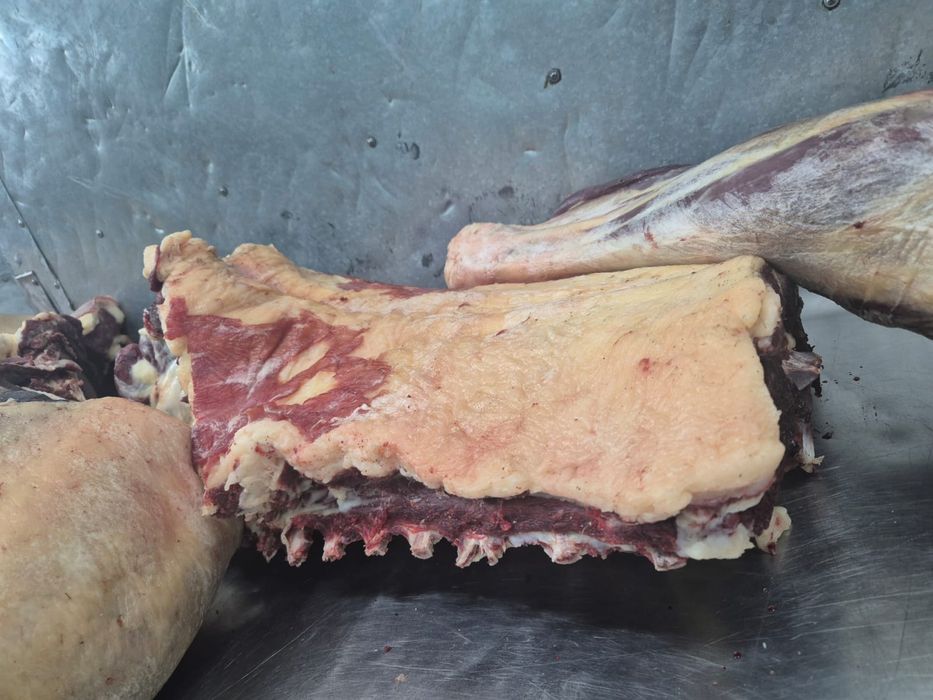 Согым с доставкой на дом