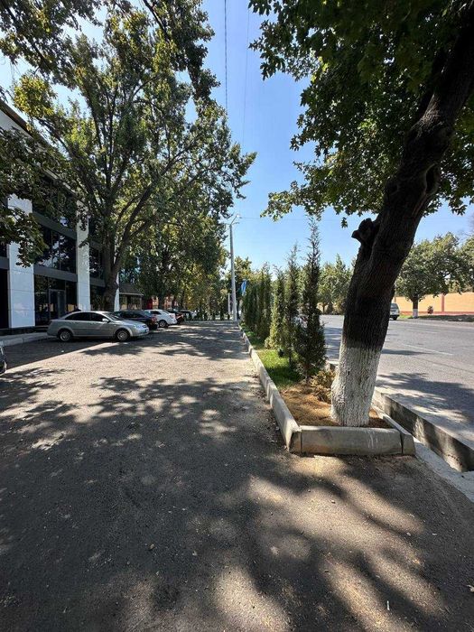 ТОП-локация для инвестиций!