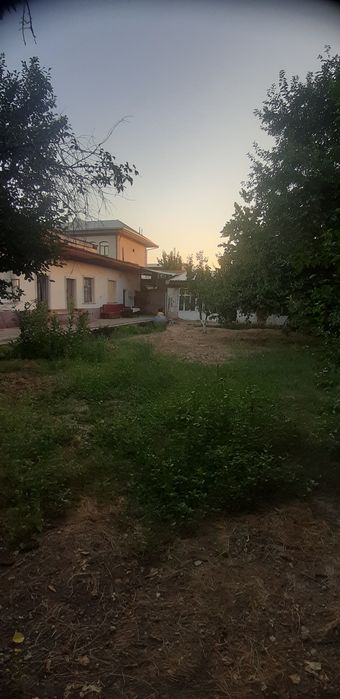Kok terak avtodrom kocha 8 sotix
