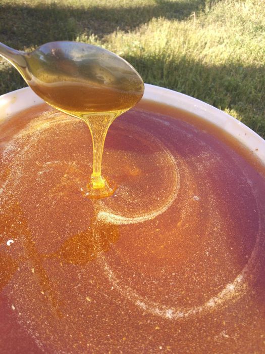 Мёд 2025года !!! С доставкой.