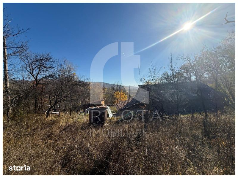 Teren Cozieni - Valea Banului | Comision Zero