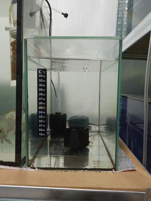 Продам аквариумы